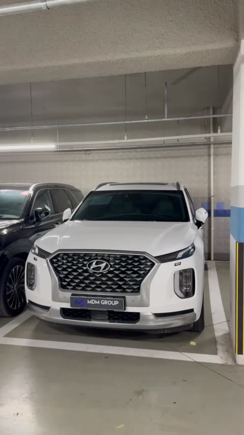 Осмотр Hyundai Palisade в Корее